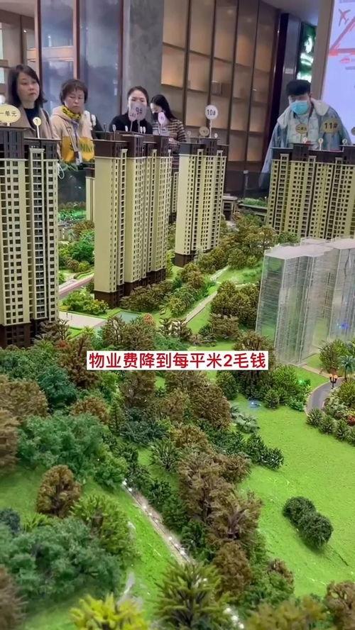 成都房地产天涯爆料视频,天涯爆料视频深度解析  第3张